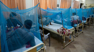 Παγκόσμιος Οργανισμός Υγείας: Ο δάγκειος πυρετός θα «απογειωθεί» αυτή τη δεκαετία στη νότια Ευρώπη, τις ΗΠΑ και την Αφρική