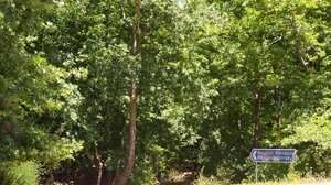 Εθελοντές συγκέντρωσαν περισσότερα από 150 κιλά απορριμάτων από το Φαράγγι Δικτάμου!