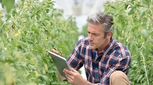 Προσλήψεις γεωπόνων στον ΕΛΓΑ - Η εικόνα στο Ηράκλειο 