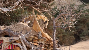 Συνεργείο του Δήμου Γαύδου γκρέμισε τις καλύβες των ερημιτών του νησιού