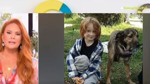 Αρπαγή 6χρονου Ράινερ: «Στο φως» ο δικαστικός συμβιβασμός που είχαν υπογράψει οι δύο γονείς