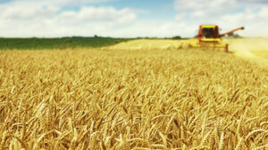 G7: Συζητούν πώς θα τεθεί τέλος στον αποκλεισμό των ουκρανικών σιτηρών