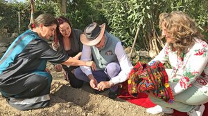 Μια ξεχωριστή σπορά στον κήπο του Ερευνητικού Κέντρου Κνωσού