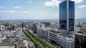  Τυνησία: Η χώρα θα συγκροτήσει επιτροπή για την κατάρτιση Συντάγματος 