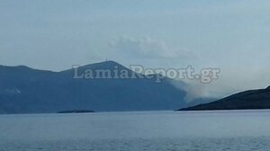  Πυρκαγιά σε πευκοδάσος στη Βόρεια Εύβοια