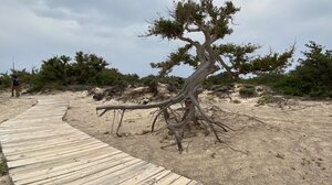 Ολοκληρώθηκε το έργο κατεδάφισης αυθαίρετων κατασκευών στη Νήσο Χρυσή 