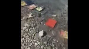 Εύβοια: Το κύμα ξέβρασε στην παραλία... δεκάδες εικόνες Αγίων!