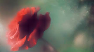 Ομαδική έκθεση φωτογραφίας από την Ελληνική Φωτογραφική Εταιρεία Ηρακλείου