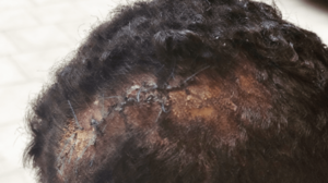 Στο πλευρό του εργαζόμενου η Ένωση Οικοδόμων Χανίων