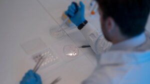 Eυλογιά των πιθήκων: Το Ηνωμένο Βασίλειο θα προσφέρει εμβόλια σε ομοφυλόφιλους