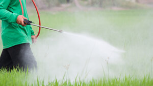 Τέσσερις φορές "πάνω" η χρήση φυτοφαρμάκων στην Κρήτη σε σύγκριση με τον υπόλοιπο κόσμο