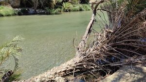 Κραυγή αγωνίας για την Πρέβελη, από τους τουριστικούς πράκτορες 