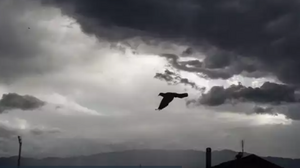 Έκτακτο δελτίο επιδείνωσης καιρού: Πρόβλεψη για καταιγίδες, κεραυνούς και χαλάζι