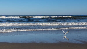 Τουριστικό πλοίο προσέκρουσε στην προβλήτα λιμανιού
