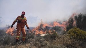  Φωτιά στο Νταού Πεντέλης – Τέθηκε άμεσα υπό έλεγχο