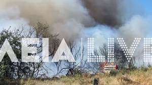 Συναγερμός για μεγάλη φωτιά στην Ηλεία 