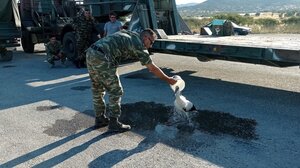 Λέσβος: Στρατιώτες δροσίζουν πελεκάνο με εγκαύματα στα πόδια από τη φωτιά