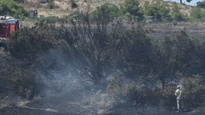 Νύχτα αγωνίας σε πολλές περιοχές της χώρας- 52 δασικές πυρκαγιές ξέσπασαν μέσα σε λίγες ώρες