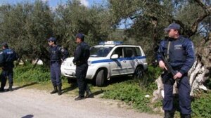 Νέα αστυνομική επιχείρηση για φυτείες κάνναβης - Εντοπίστηκαν χιλιάδες δενδρύλια