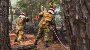 Μεγάλη αναζωπύρωση στη Δαδιά: Εκκενώνεται το χωριό