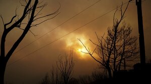 Φωτιά στον Έβρο: Στις παρυφές του δάσους Δαδιάς το μέτωπο