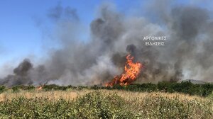 Πυρκαγιά στην Αργολίδα