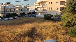 Ένα ... δάσος μες στην πόλη