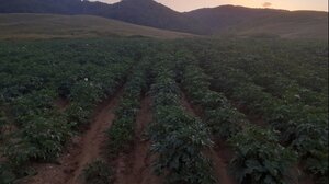 Ιωάννινα: Το οροπέδιο της πατάτας και η τεχνητή ορεινή λίμνη του Αώου