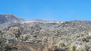 Ρέθυμνο: Με τον φόβο των αναζωπυρώσεων, η επόμενη μέρα της καταστροφής