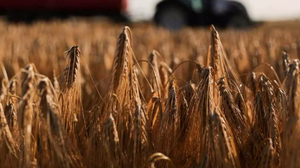 Η Ρωσία απειλεί να αποχωρήσει από τη συμφωνία της Μαύρης Θάλασσας για τις εξαγωγές σιτηρών