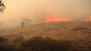 Φωτιά στην Πεντέλη: 27.817 στρέμματα η καμένη έκταση