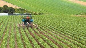 Αγροτικό πετρέλαιο: Τις επόμενες ημέρες η επιστροφή του ΕΦΚ