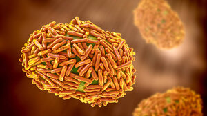 Ευλογιά των πιθήκων: Ανησυχία μετά τον παγκόσμιο συναγερμό του ΠΟΥ