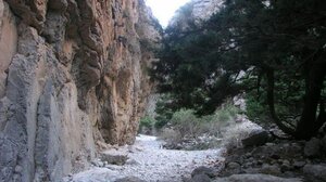 Επιχείρηση διάσωσης τουρίστριας μετά από πτώση σε φαράγγι