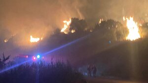 Σε εξέλιξη πυρκαγιά στην Ανάληψη Αμαλιάδας – Επιχειρούν ισχυρές επίγειες δυνάμεις