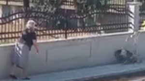 Δικογραφία σε βάρος 75χρονης που πέταξε τη μαγκούρα της σε αδέσποτο σκύλο