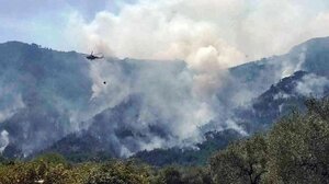 Θάσος: Μάχη με τις φλόγες δίνουν οι δυνάμεις πυρόσβεσης