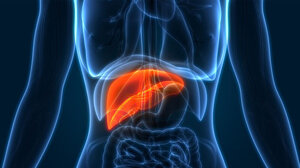 Ένα κοινό "παντοτινό χημικό" συνδέθηκε με καρκίνο στο συκώτι 