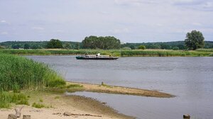 «Νεκρά ψάρια παντού»: φόβοι για περιβαλλοντική καταστροφή στον ποταμό Όντερ