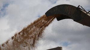 Παρατάθηκε για 60 ημέρες η συμφωνία για τα σιτηρά, λέει Ρώσος αξιωματούχος 