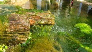 Πεζοπορία από τις Τάπες ως τις πηγές Αχλάδας και Βόϊνας