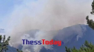 Φωτιά στη Θάσο: Παραμένει δύσκολη η κατάσταση, ενισχύονται κι άλλο οι πυροσβεστικές δυνάμεις