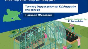 Παρατείνονται οι εγγραφές στα δημόσια αγροτικά ΙΕΚ- Στη Μεσαρά το τμήμα Θερμοκηπίων