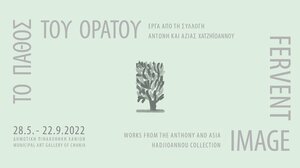 «Το πάθος του ορατού: Έργα από τη Συλλογή Αντώνη και Άζιας Χατζηϊωάννου» 