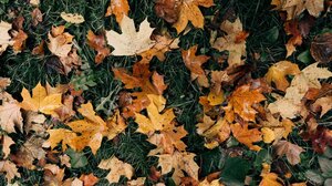 Φθινοπωρινη ισημερία την Παρασκευή 23/9 στο βόρειο ημισφαίριο 