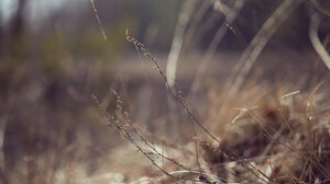 Τέλος χρόνου για τα ακαθάριστα οικόπεδα - Λήγει σήμερα η προθεσμία