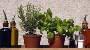 Πώς να φροντίσεις τα βότανα στις γλάστρες σου για να κρατήσουν όλο το χειμώνα