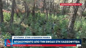 "Χτύπημα" ΕΛ.ΑΣ. στην αλβανική μαφία