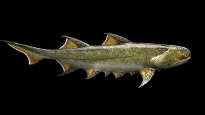 Ανακαλύφθηκε απολίθωμα κινεζικού ψαριού ηλικίας 439 εκατ. ετών - Είχε τα αρχαιότερα σαγόνια που έχουν βρεθεί ποτέ