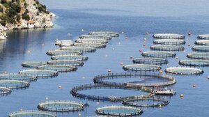 Νεκρός βρέθηκε 52χρονος σε ιχθυοκαλλιέργεια πάνω σε σκάφος